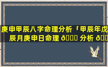 庚申甲辰八字命理分析「甲辰年戊辰月庚申日命理 🕊 分析 🐘 」